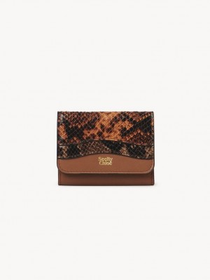 Małe Portfele Chloe Layers Medium Tri-fold Brązowe | CHE-SR14899