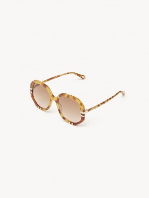 Okulary Przeciwsłoneczne Chloe West Small Havana Patchwork | CHE-SR14518