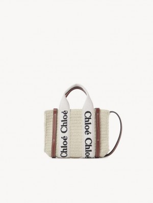 Torba Crossbody Chloe Mini Woody Brązowe Beżowe | CHE-SR13585