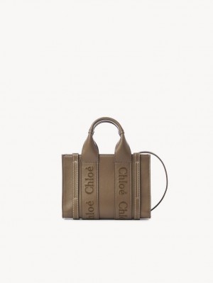 Torba Crossbody Chloe Mini Woody Zielone | CHE-SR13521