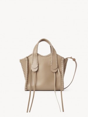 Torba Crossbody Chloe Small Mony Brązowe | CHE-SR13602