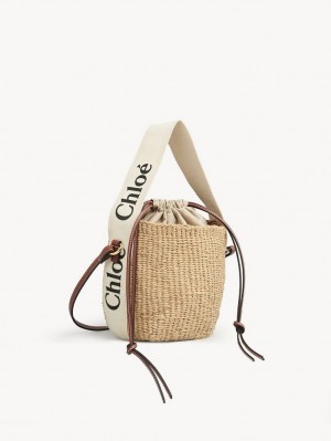 Torba Crossbody Chloe Small Woody Basket Białe | CHE-SR13609