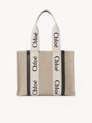 Torby Tote Chloe Medium Woody Białe Niebieskie | CHE-SR13356