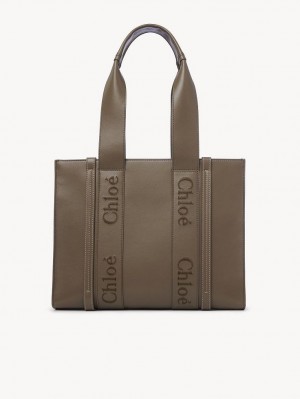 Torby Tote Chloe Medium Woody Zielone | CHE-SR13340