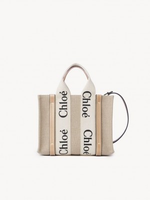 Torby Tote Chloe Small Woody Białe Beżowe | CHE-SR13373