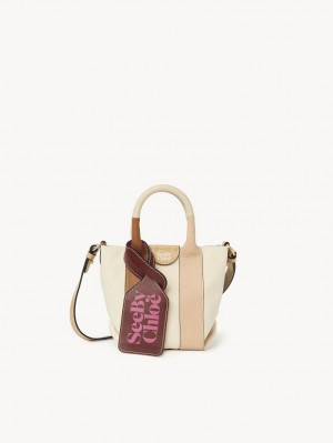 Torebki Małe Chloe Laetizia Tote Brązowe | CHE-SR14767