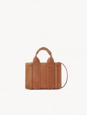 Torebki Małe Chloe Woody Tote 1 Brązowe | CHE-SR13726