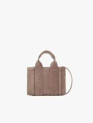 Torebki Małe Chloe Woody Tote 1 Brązowe | CHE-SR13728