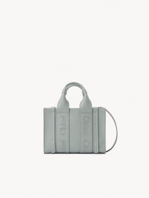 Torebki Małe Chloe Woody Tote 1 Zielone | CHE-SR13697