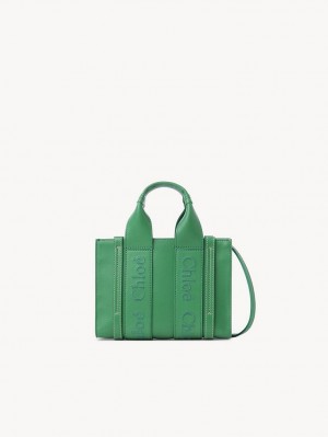 Torebki Małe Chloe Woody Tote 1 Zielone | CHE-SR13698