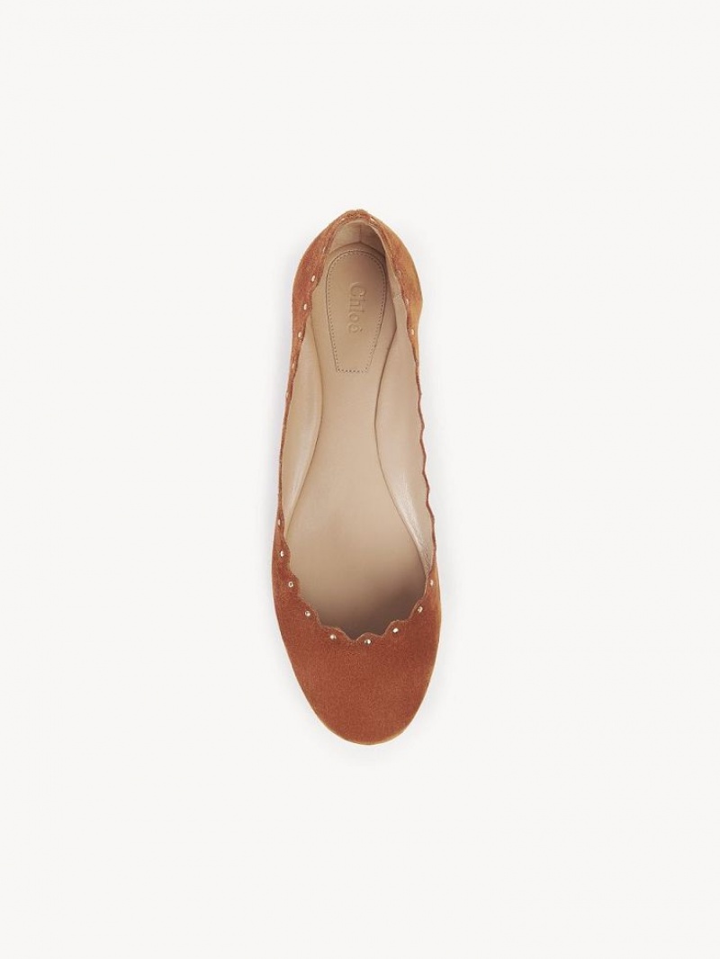 Ballet Flat Chloe Lauren Brązowe | CHE-SR14254