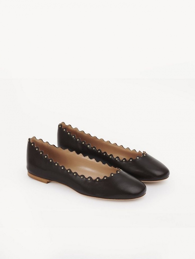 Ballet Flat Chloe Lauren Czekolada | CHE-SR14253