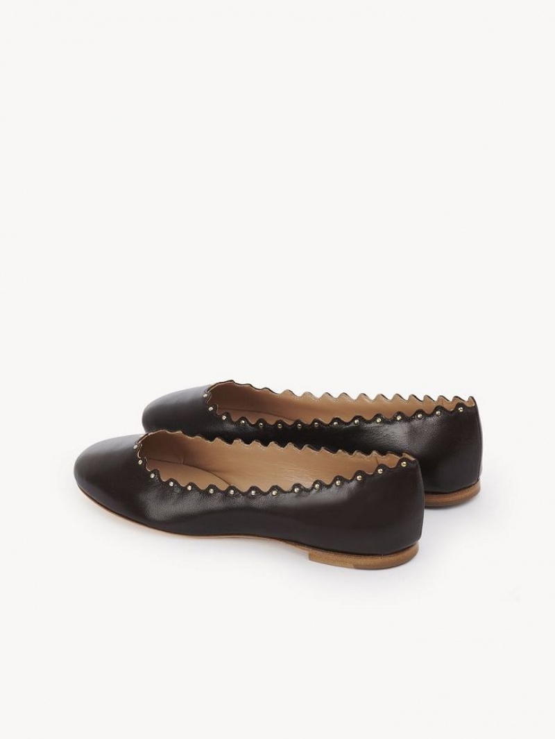 Ballet Flat Chloe Lauren Czekolada | CHE-SR14253