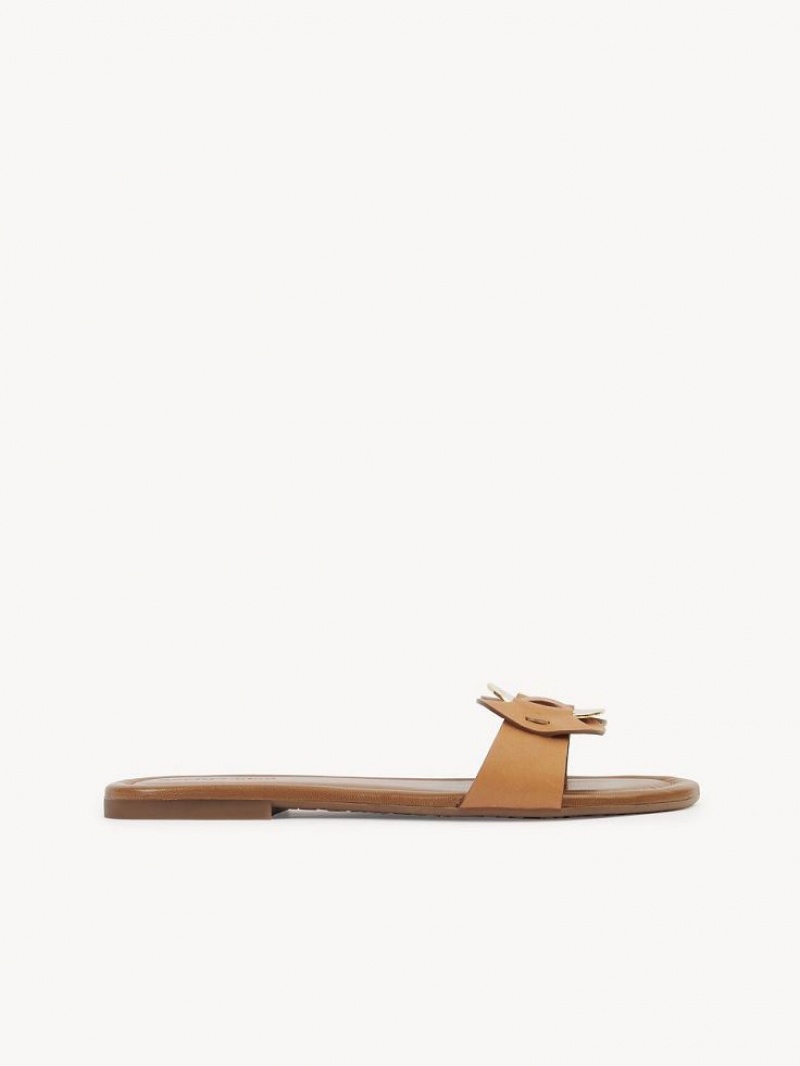 Buty Płaskie Chloe Chany Mule Brązowe | CHE-SR14837