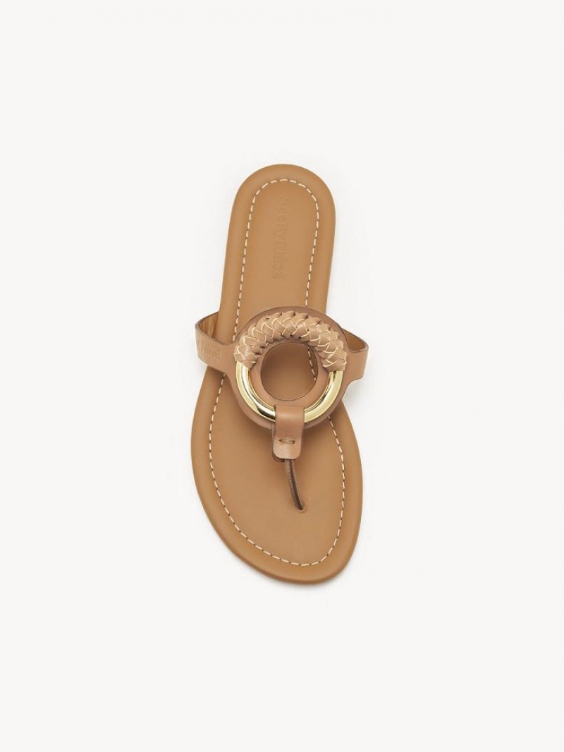 Buty Płaskie Chloe Hana Flip-flop Brązowe | CHE-SR14818