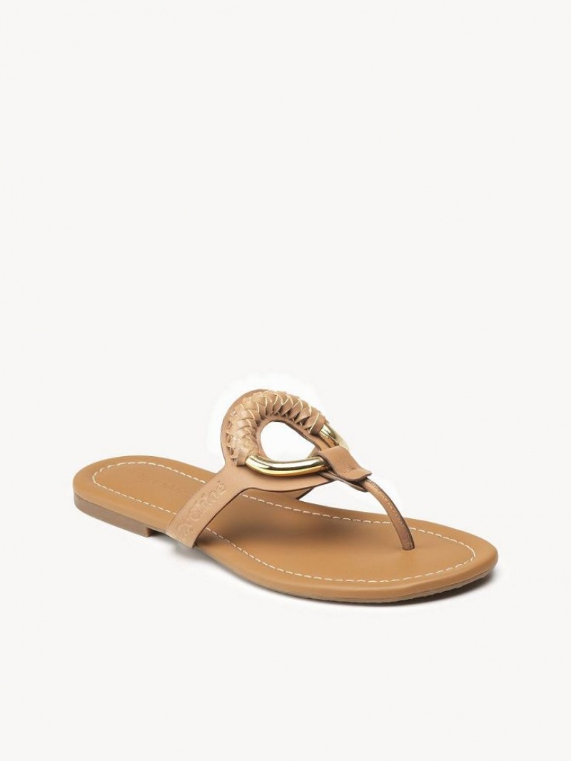 Buty Płaskie Chloe Hana Flip-flop Brązowe | CHE-SR14818