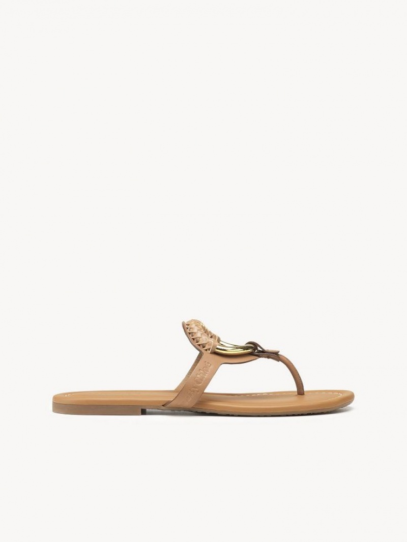 Buty Płaskie Chloe Hana Flip-flop Brązowe | CHE-SR14818