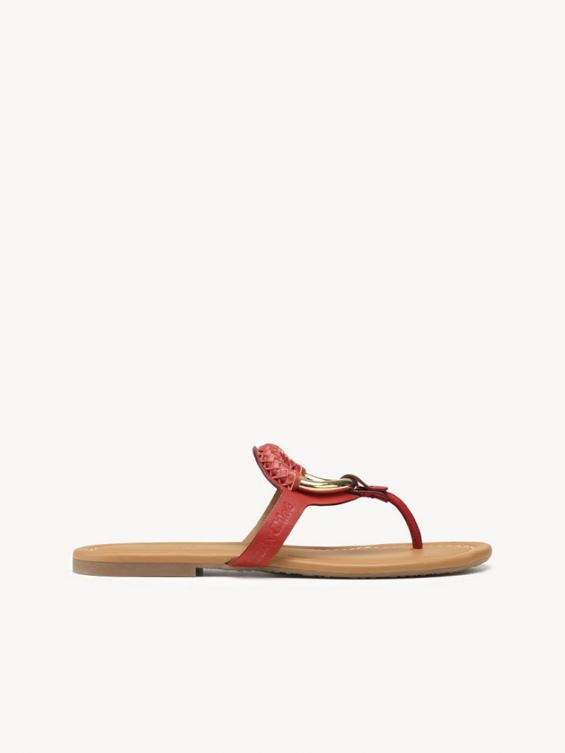 Buty Płaskie Chloe Hana Flip-flop Czerwone | CHE-SR14817