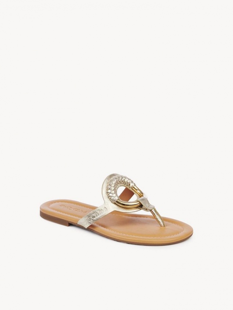 Buty Płaskie Chloe Hana Flip-flop Srebrne | CHE-SR14829