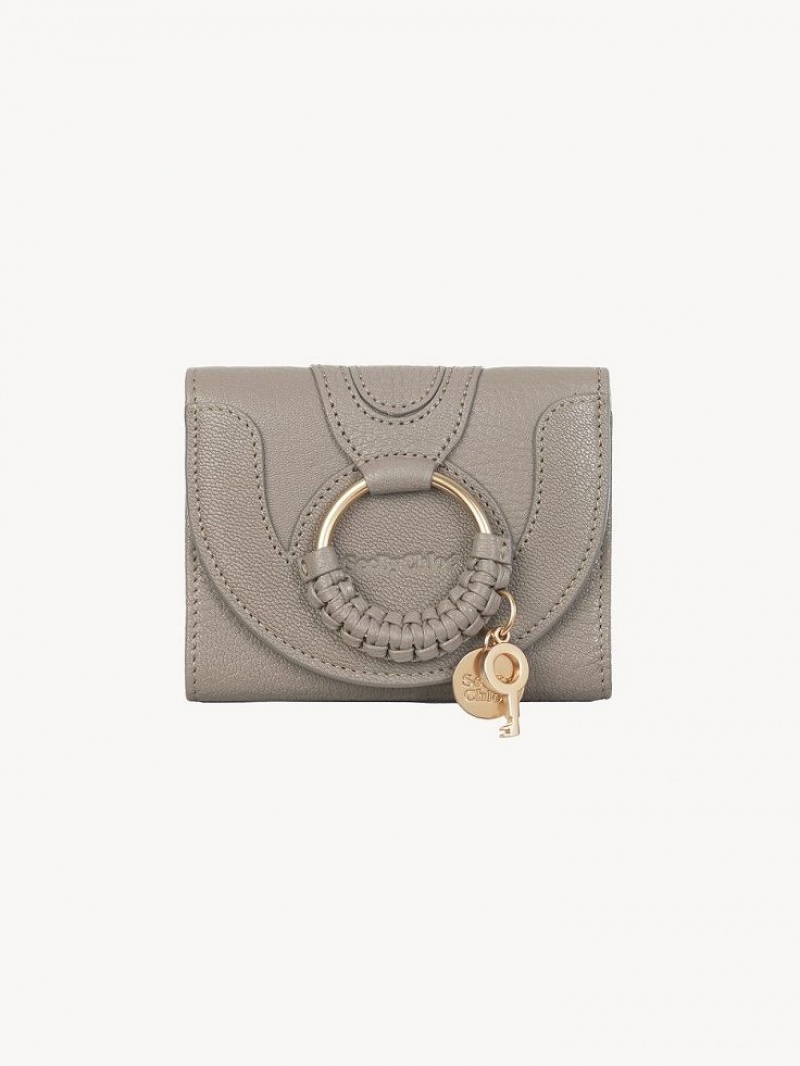 Małe Portfele Chloe Hana Trifold Szare | CHE-SR14901