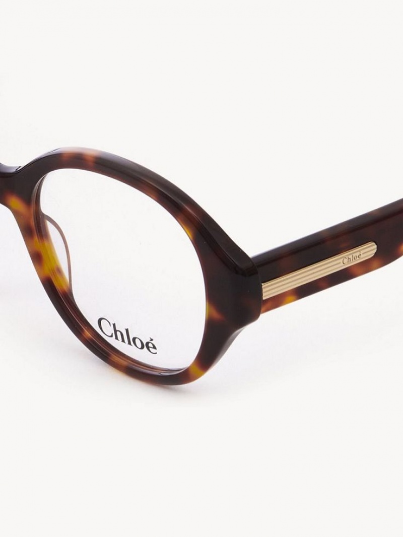 Okulary Chloe Mirtha Havana | CHE-SR14583