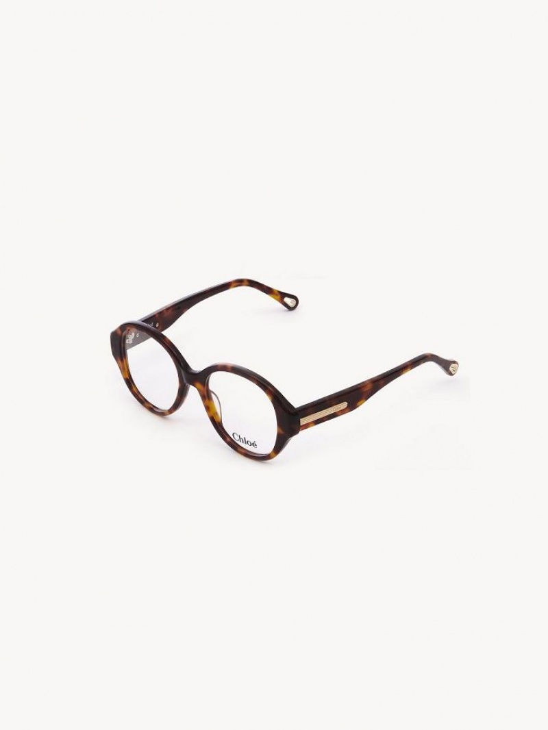 Okulary Chloe Mirtha Havana | CHE-SR14583