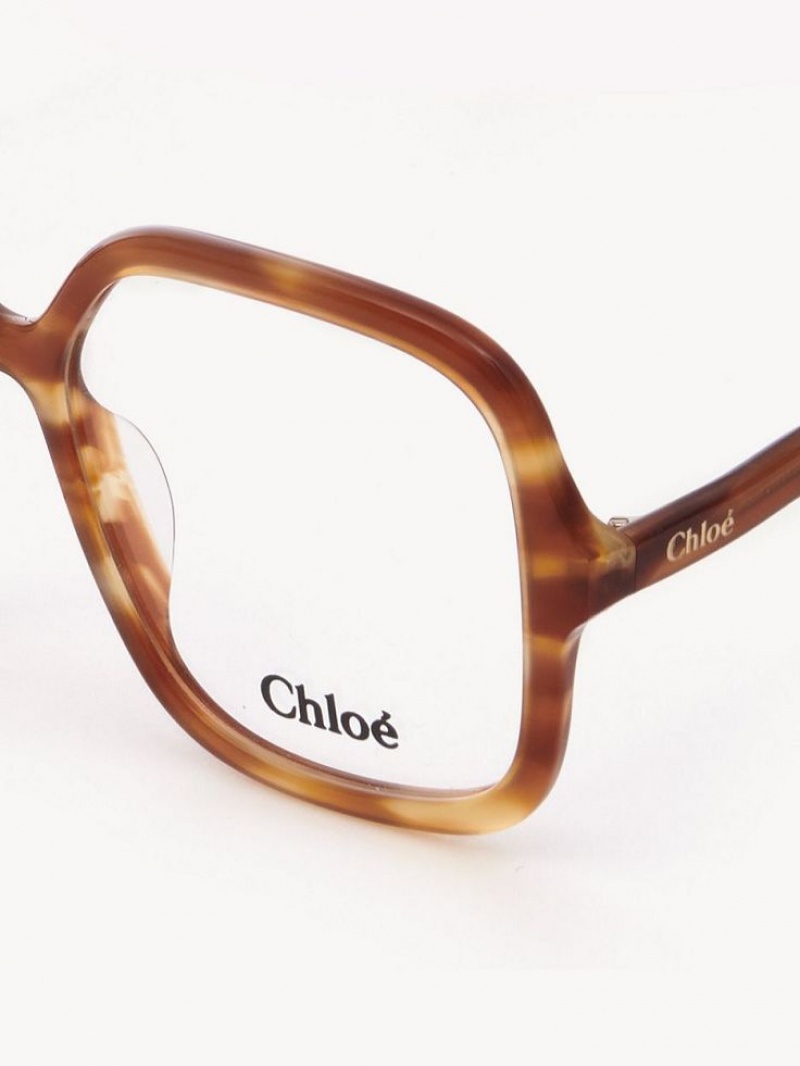 Okulary Chloe Zelie Głęboka | CHE-SR14585