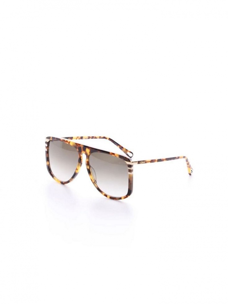 Okulary Przeciwsłoneczne Chloe West Havana Patchwork | CHE-SR14564