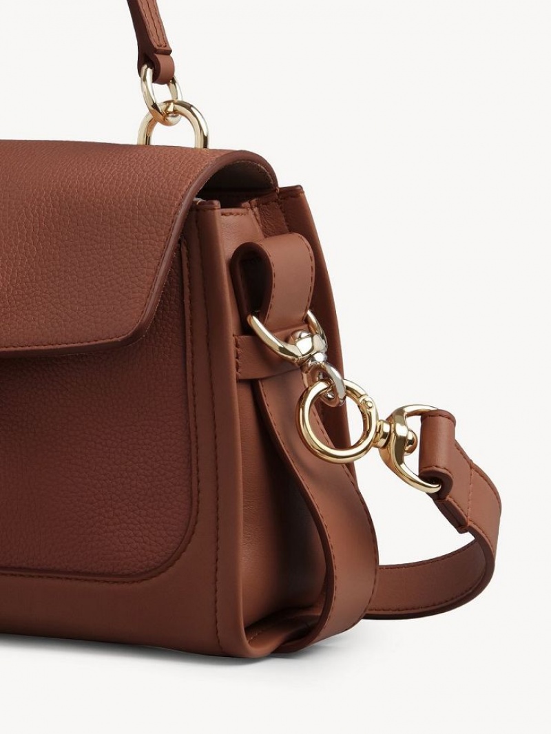 Torba Crossbody Chloe Mini Tess Day Brązowe | CHE-SR13479