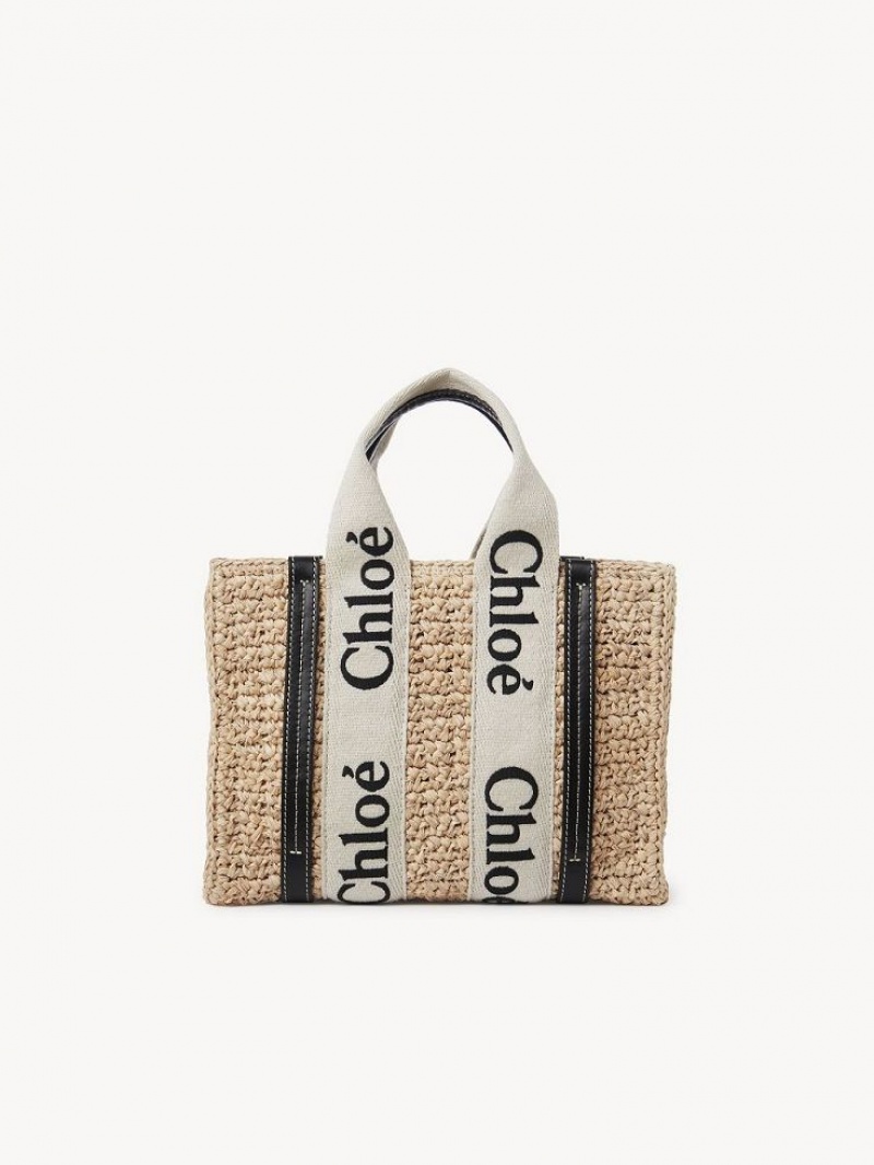 Torba Crossbody Chloe Small Woody Brązowe | CHE-SR13625