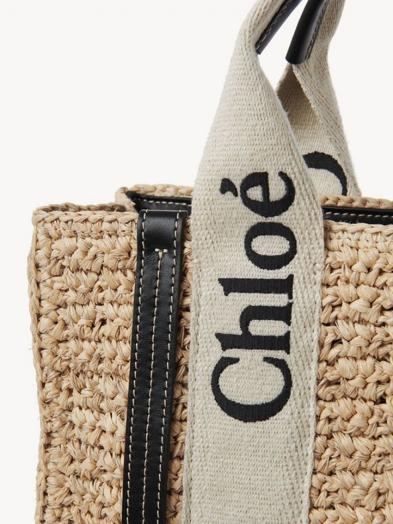 Torba Crossbody Chloe Small Woody Brązowe | CHE-SR13625