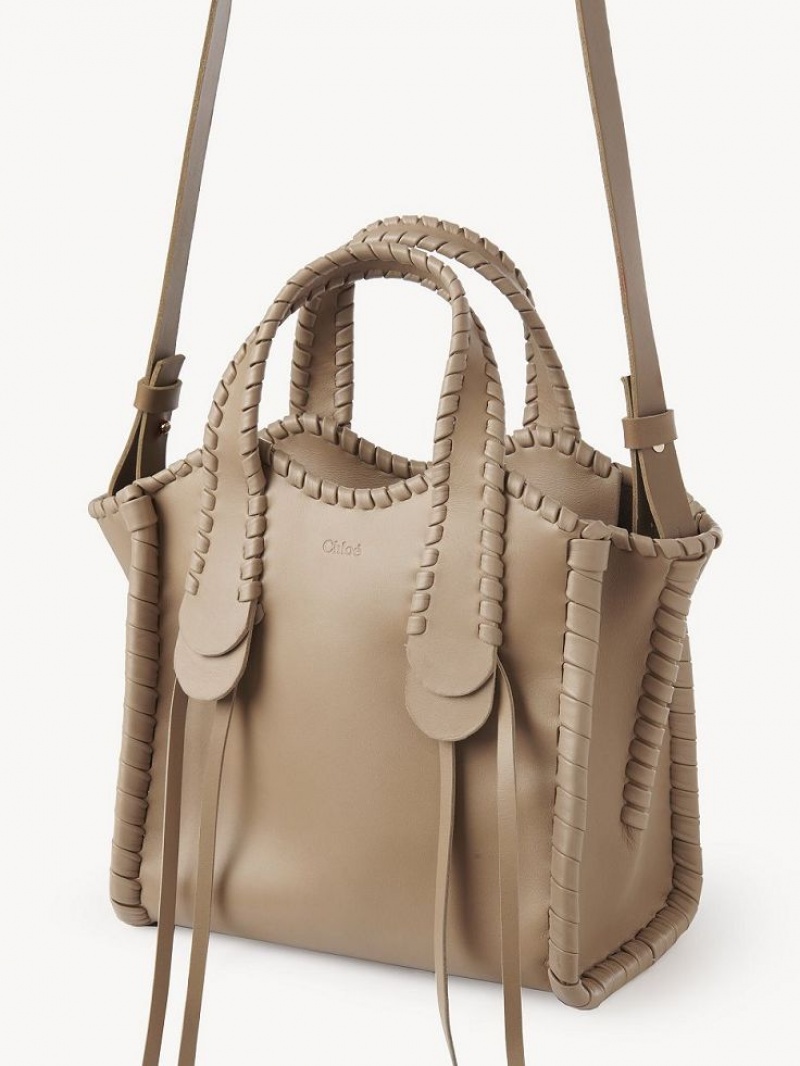 Torby Tote Chloe Small Mony Brązowe | CHE-SR13400