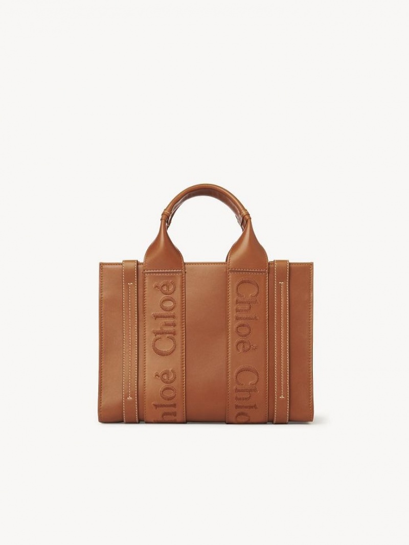 Torebki Małe Chloe Small Woody Tote Brązowe | CHE-SR13688