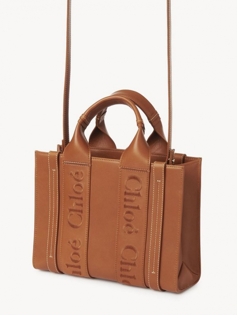 Torebki Małe Chloe Small Woody Tote Brązowe | CHE-SR13688