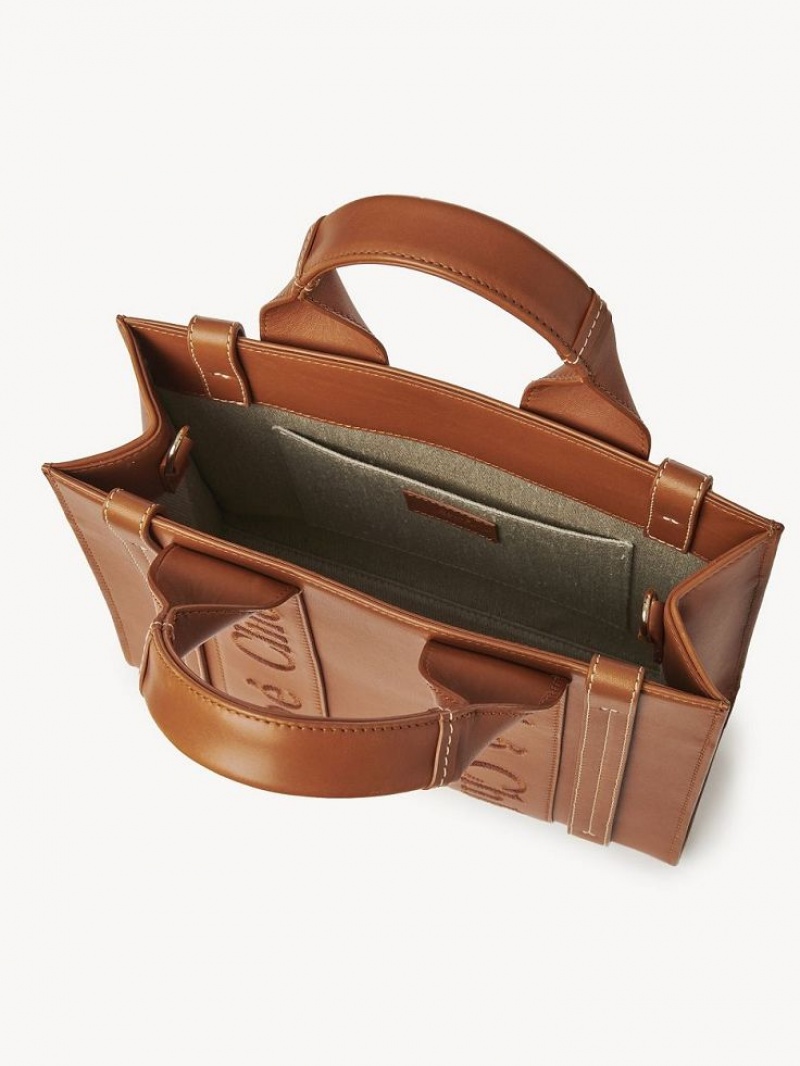 Torebki Małe Chloe Small Woody Tote Brązowe | CHE-SR13688