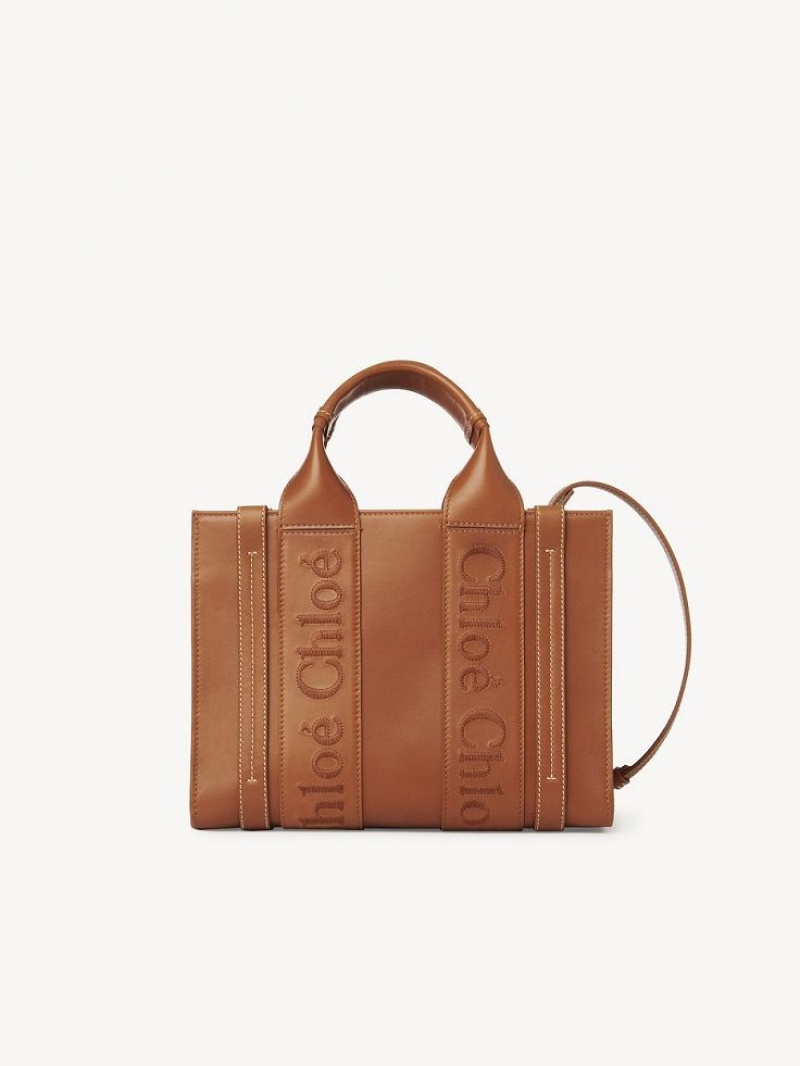 Torebki Małe Chloe Small Woody Tote Brązowe | CHE-SR13688