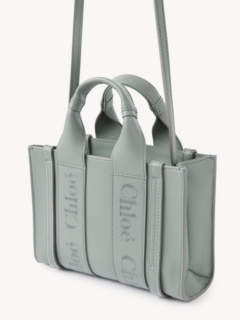 Torebki Małe Chloe Woody Tote 1 Zielone | CHE-SR13697