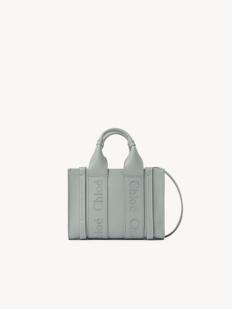 Torebki Małe Chloe Woody Tote 1 Zielone | CHE-SR13697